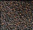 Black Pepper Extract